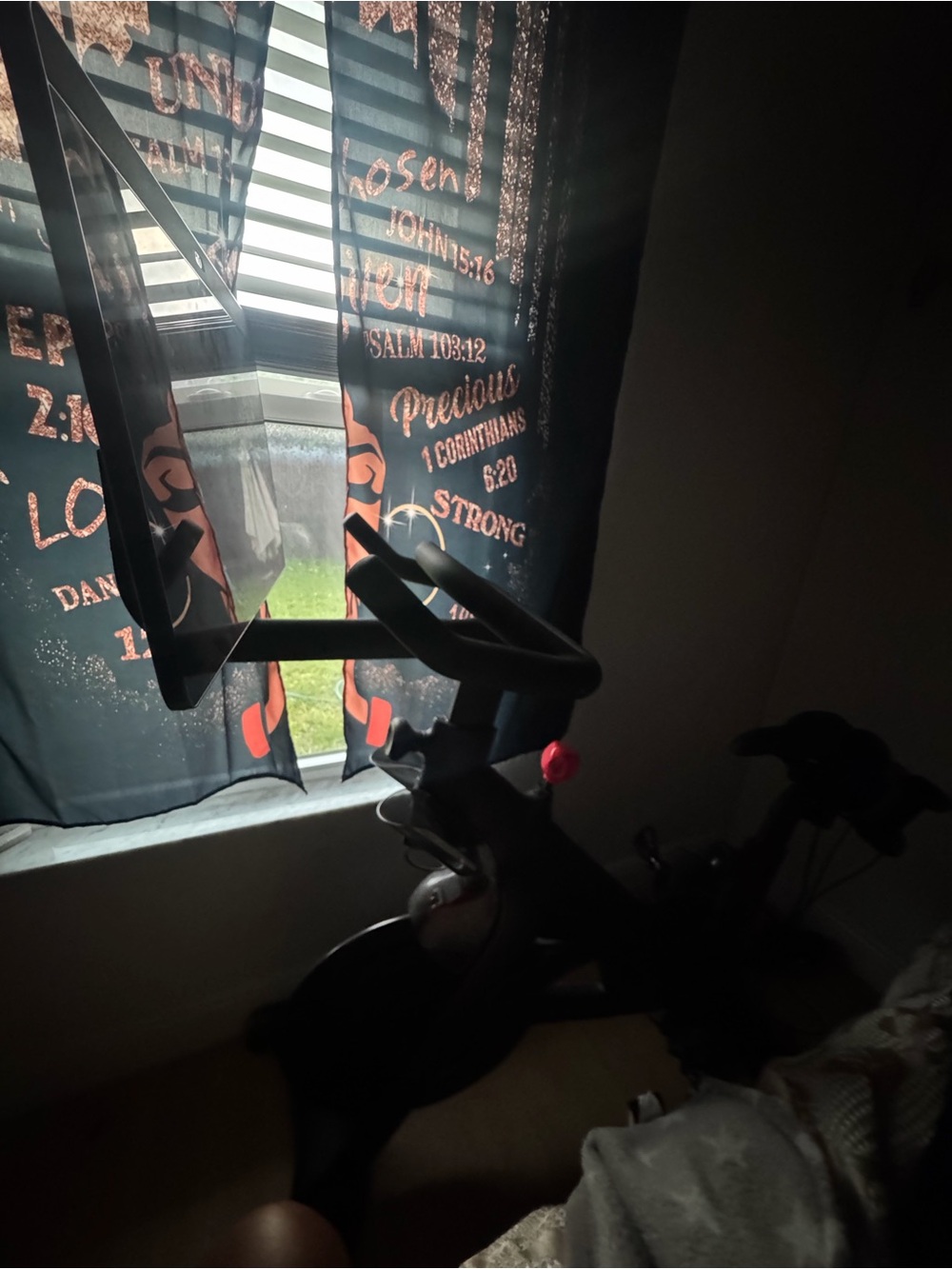 Peloton Black Indoor Exercise Bike with Touchscreen Mount